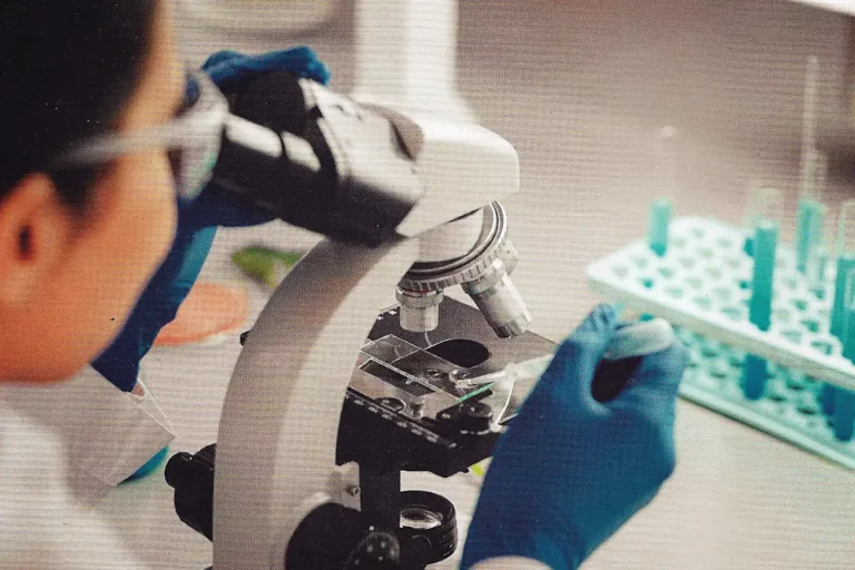 celulas madre puerto vallarta1