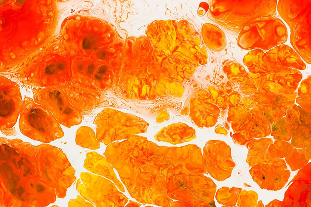 fondo psicodelico multicolor 23 2148805333